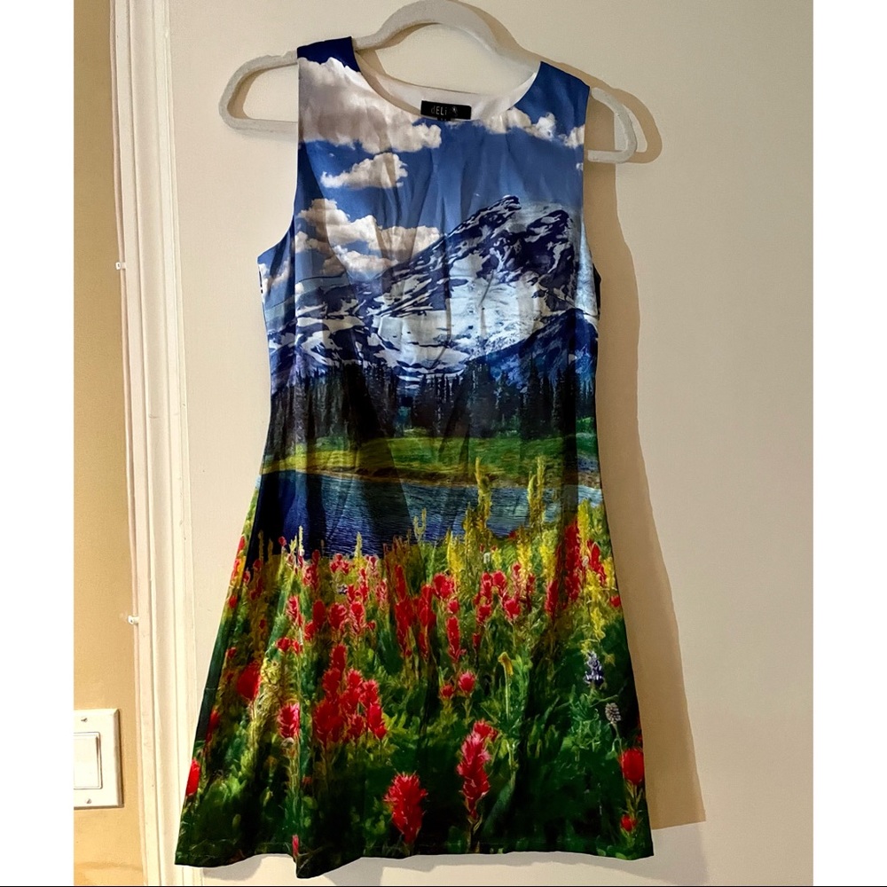 Delia’s Mountain print dress